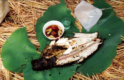 Jun8863 tải ứng dụng B&igrave;nh Dương